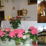 kaplica w Rokitnicy parafia witego Franciszka z Asyu
98-100 Teodory k. asku
Teodory 129
