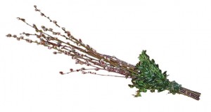 niedziela-palmowa-17