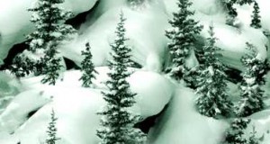 winter_bg
